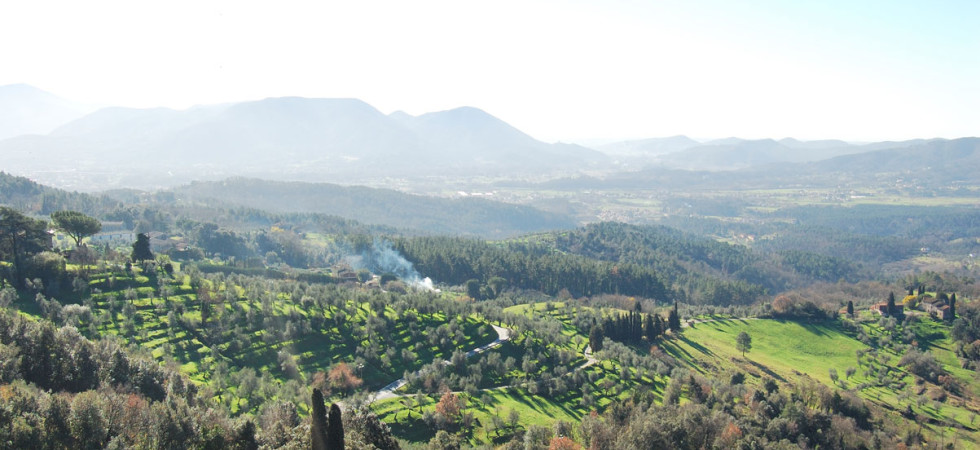 TOSCANA – VILLA “Vinci” TOSCANA – VILLA “Vinci”