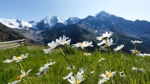 Scorcio Paesaggio Hotel Dolomiti